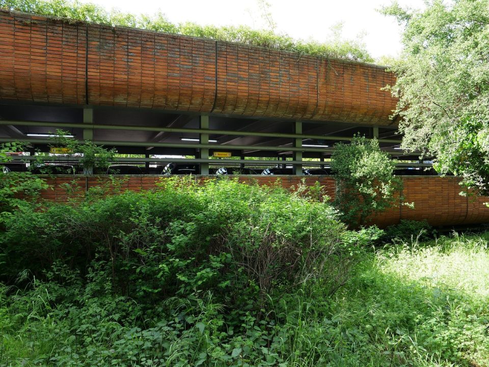 U zgradi, prizemlje, Zemun, 16,85 m2, nivo -1
